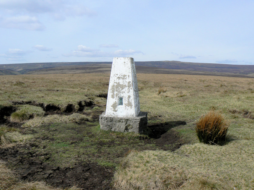 Westend Moor Westend Moor